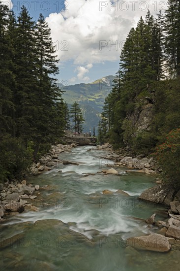 River ache in front of the Krimml waterfall, highest waterfall in Europe, Hohe Tauern National Park, Krimml, Salzburger Land, Pinzgau, Austria