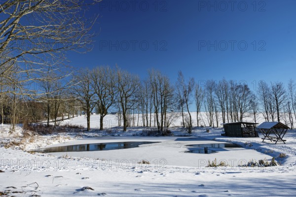 Frozen pond in the Thuringian Forest in winter with snow and blue sky, Frauenwald, Thuringia, Germany