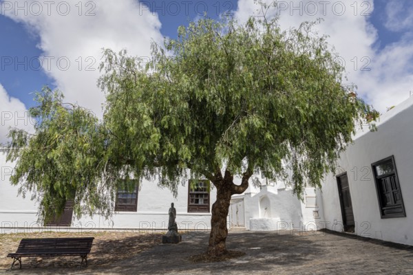 Quiet courtyard with a pepper tree, statue and bench next to a white building, Schinus, Teguise, Lanzarote, Spain