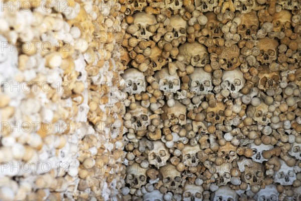 Skulls, skeletons, ossuary, Saint-Hilaire cemetery, Marville, Renaissance village, Département Meuse, Grand Est, France