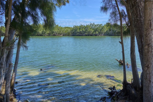 View through trees to calm water, peaceful scenery, Haulover Canal, Merritt Island National Wildlife Refuge, Mims, Florida, USA