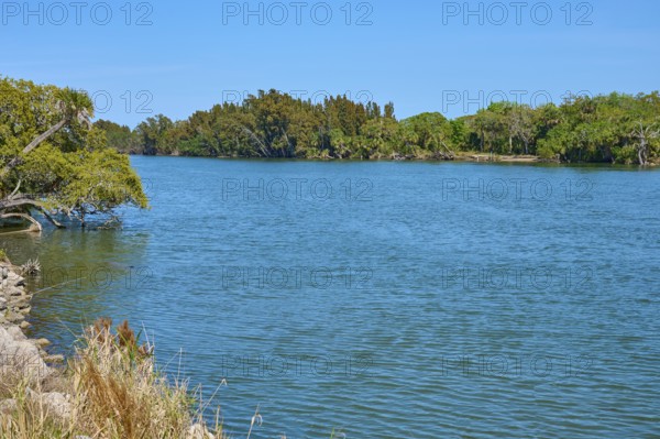 River landscape with serene water and green trees on the banks, Haulover Canal, Merritt Island National Wildlife Refuge, Mims, Florida, USA