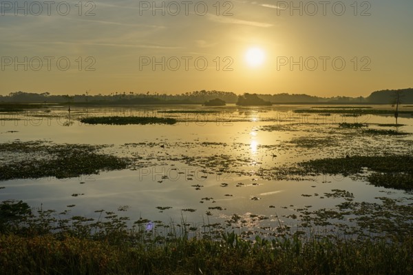 Waterscape at sunrise with golden colours, Orlando Wetlands, Christmas, Florida, USA
