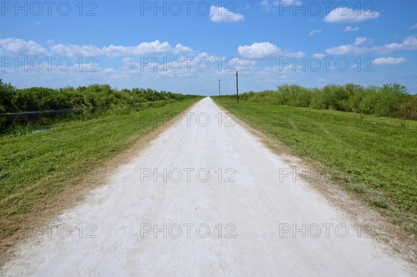 Endless gravel road amidst grass and trees under a blue sky, Lake Apopka North Shore, Orlando, Florida, USA