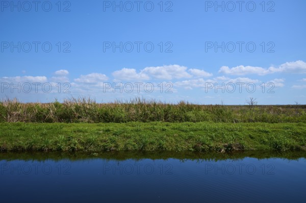 Grassy shoreline under a clear blue sky with small clouds, Lake Apopka North Shore, Orlando, Florida, USA