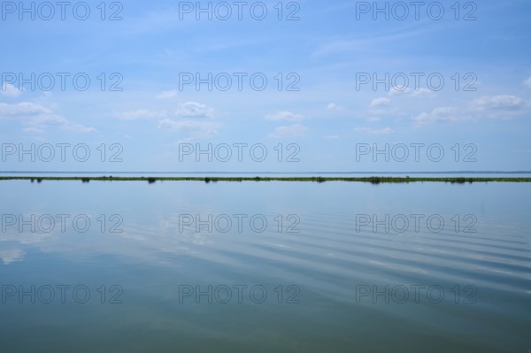 Wide expanse of water under a blue sky with some clouds, calm and peaceful atmosphere, Lake Apopka North Shore, Orlando, Florida, USA