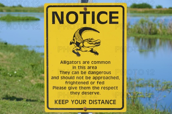 Warning sign about alligators in nature, yellow sign with text and illustration of an alligator, Lake Apopka North Shore, Orlando, Florida, USA