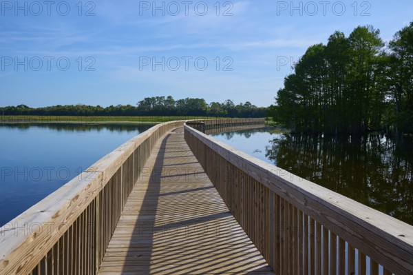Long wooden walkway leads through calm water under a blue sky, Orlando Wetlands, Christmas, Florida, USA