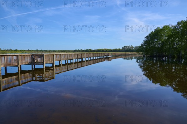 Clear sky reflected in the water next to a long wooden walkway, Orlando Wetlands, Christmas, Florida, USA