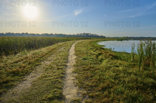 A winding gravel path along a body of water at sunrise, Orlando Wetlands, Christmas, Florida, USA