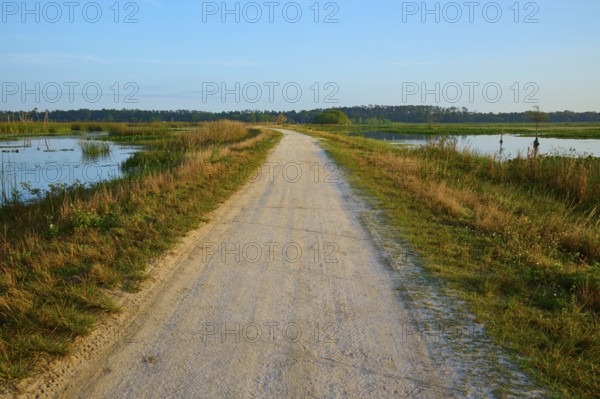 A straight gravel path between grassy areas under a clear sky, Orlando Wetlands, Christmas, Florida, USA