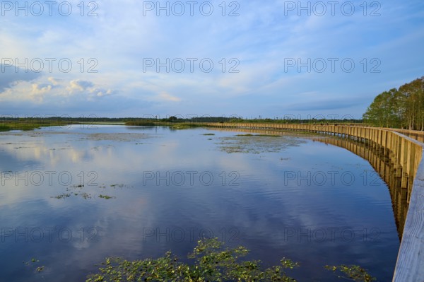 Wooden boardwalk along a tranquil lake under a cloudy sky, Orlando Wetlands, Christmas, Florida, USA