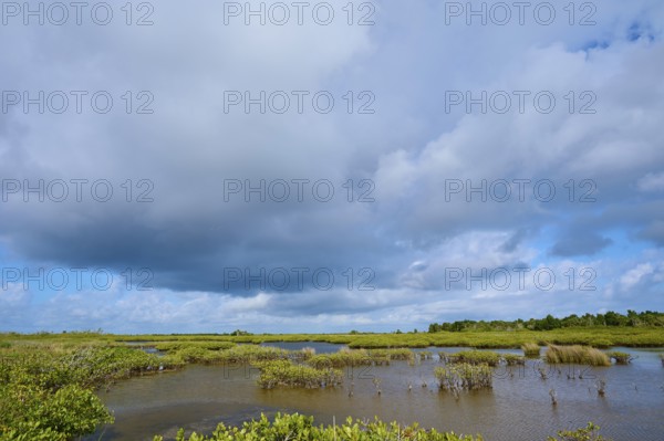 Sprawling marsh under a cloudy sky, Black Point Wildlife Drive, Titusville, Florida, USA