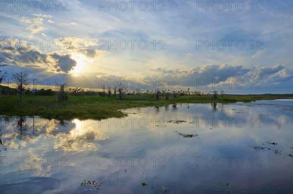 Expansive marshland at sunset with dramatic sky and cloud reflection in the water, Orlando Wetlands, Christmas, Florida, USA