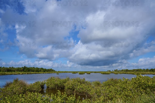 Expansive marshland under partly cloudy skies, Black Point Wildlife Drive, Titusville, Florida, USA