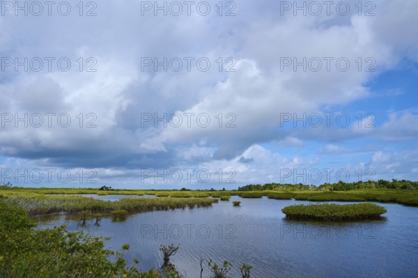 Tranquil marshland with clouds and vegetation, Black Point Wildlife Drive, Titusville, Florida, USA