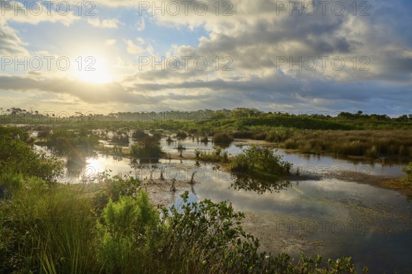 Marsh landscape at sunset with clouds and reflections in the water, Black Point Wildlife Drive, Titusville, Florida, USA