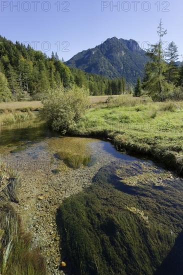 Ettaler Weidemoos, Graswang, Graswangtal, moss, wetland, Oberammergau, Catholic, Ammergau, Ammergau Alps, Upper Bavaria, Garmisch-Partenkirchen, Alps, Bavaria, holiday, holiday region, active holiday, recreation, holiday, summer holiday, holiday region, Germany