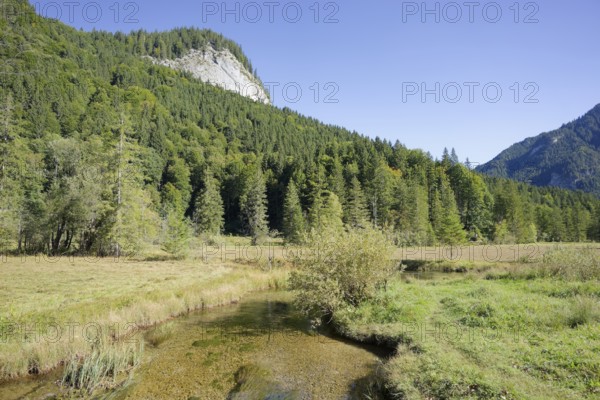 Ettaler Weidemoos, Graswang, Graswangtal, moss, wetland, Oberammergau, Catholic, Ammergau, Ammergau Alps, Upper Bavaria, Garmisch-Partenkirchen, Alps, Bavaria, holiday, holiday region, active holiday, recreation, holiday, summer holiday, holiday region, Germany