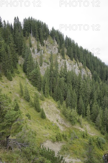 Ammergau Alps, Laber, hiking, mountain hiking, Ammergau, Oberammergau, mountains, Alps, Bavaria, Upper Bavaria, Garmisch-Partenkirchen, Germany