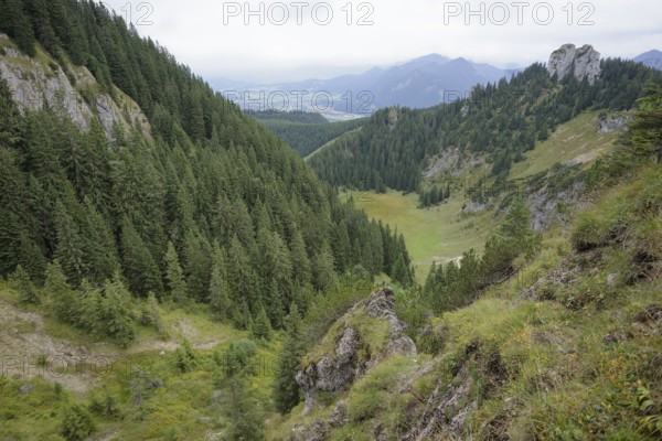 Ammergau Alps, Laber, hiking, mountain hiking, Ammergau, Oberammergau, mountains, Alps, Bavaria, Upper Bavaria, Garmisch-Partenkirchen, Germany