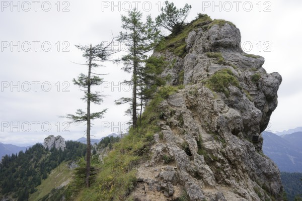 Ammergau Alps, Laber, hiking, mountain hiking, Ammergau, Oberammergau, mountains, Alps, Bavaria, Upper Bavaria, Garmisch-Partenkirchen, Germany