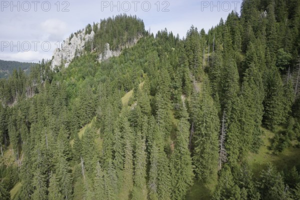 Ammergau Alps, Ammergau, Oberammergau, Laber, mountain, mountain hiking, hiking, mountains, Alps, Bavaria, Upper Bavaria, Garmisch-Partenkirchen, Germany