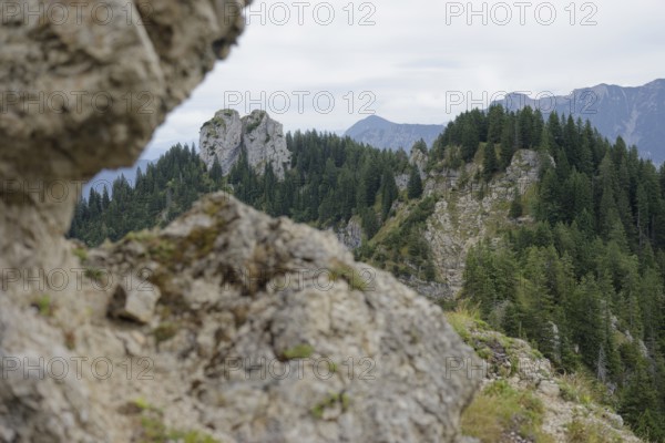 Mountain panorama seen from the Laber, Ammergau Alps, Ammergau, Oberammergau, mountains, Alps, Bavaria, Upper Bavaria, Garmisch-Partenkirchen, Germany