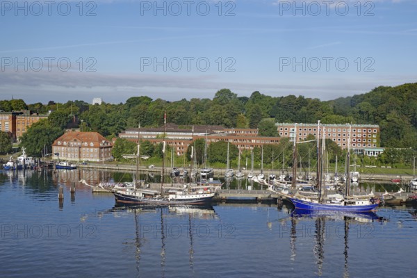 Sailing ships in the harbour with surrounding buildings and trees, under a clear blue sky, Kiel Fjord, Holtanau, Kiel, Schleswig-Holstein, Germany