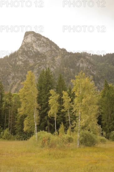 View of the Kofel, mountain, Zinken, mountain hiking, hiking, Oberammergau, Catholic, Ammergau, Ammergau Alps, Upper Bavaria, Garmisch-Partenkirchen, Alps, Bavaria, holiday, holiday region, active holiday, recreation, holiday, summer holiday, holiday region, Germany
