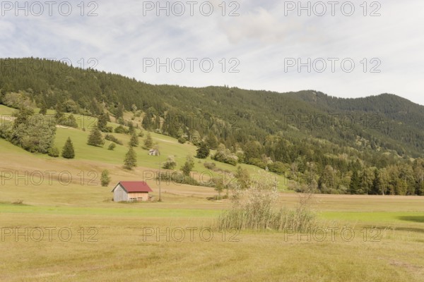 Pulvermoos between Oberammergau and Unterammergau, mountain hiking, hiking, moss, wetland biotope, Catholic, Ammergau, Ammergau Alps, Upper Bavaria, Garmisch-Partenkirchen, Alps, Bavaria, holiday, holiday region, active holiday, recreation, holiday, summer holiday, holiday region, Germany