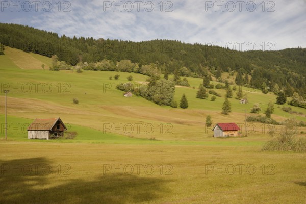 Pulvermoos between Oberammergau and Unterammergau, mountain hiking, hiking, moss, wetland biotope, Catholic, Ammergau, Ammergau Alps, Upper Bavaria, Garmisch-Partenkirchen, Alps, Bavaria, holiday, holiday region, active holiday, recreation, holiday, summer holiday, holiday region, Germany