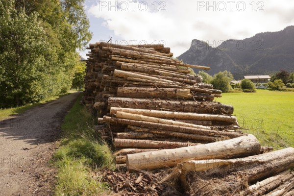 Wood pile by the wayside, renewable raw material, wood, Kofel, mountain, Oberammergau, Catholic, Ammergau, Ammergau Alps, Upper Bavaria, Garmisch-Partenkirchen, Alps, Bavaria, holiday, holiday region, active holiday, recreation, holiday, summer holiday, holiday region, Germany
