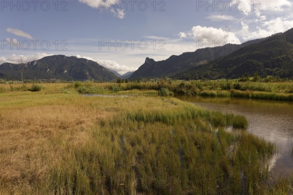 Pulvermoos between Oberammergau and Unterammergau with views of Kofel and Laber, mountain hiking, hiking, moss, wetland biotope, Catholic, Ammergau, Ammergau Alps, Upper Bavaria, Garmisch-Partenkirchen, Alps, Bavaria, holiday, holiday region, active holiday, recreation, holiday, summer holiday, holiday region, Germany