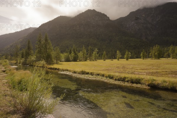 Ettaler Weidemoos, moss, wetland biotope, Oberammergau, Catholic, Ammergau, Ammergau Alps, Upper Bavaria, Garmisch-Partenkirchen, Alps, Bavaria, holiday, holiday region, active holiday, recreation, holiday, summer holiday, holiday region, Germany