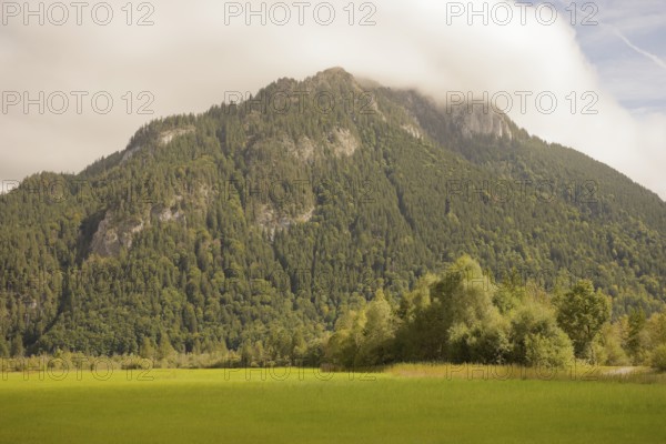 Ettaler Weidemoos, moss, wetland biotope, Oberammergau, Catholic, Ammergau, Ammergau Alps, Upper Bavaria, Garmisch-Partenkirchen, Alps, Bavaria, holiday, holiday region, active holiday, recreation, holiday, summer holiday, holiday region, Germany
