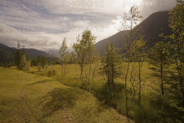 Ettaler Weidemoos, moss, wetland biotope, Oberammergau, Catholic, Ammergau, Ammergau Alps, Upper Bavaria, Garmisch-Partenkirchen, Alps, Bavaria, holiday, holiday region, active holiday, recreation, holiday, summer holiday, holiday region, Germany