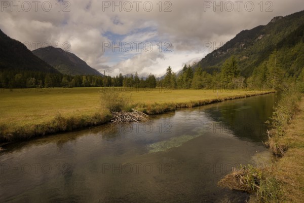 Ettaler Weidemoos, moss, wetland biotope, Oberammergau, Catholic, Ammergau, Ammergau Alps, Upper Bavaria, Beaver, Garmisch-Partenkirchen, Alps, Bavaria, holiday, holiday region, active holiday, recreation, holiday, summer holiday, holiday region, Germany