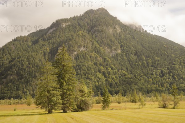 Ettaler Weidemoos, moss, wetland biotope, Oberammergau, Catholic, Ammergau, Ammergau Alps, Upper Bavaria, Garmisch-Partenkirchen, Alps, Bavaria, holiday, holiday region, active holiday, recreation, holiday, summer holiday, holiday region, Germany