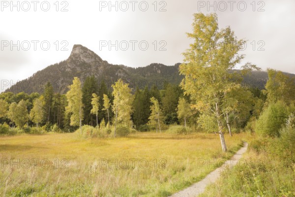 View of the Kofel, mountain, Zinken, mountain hiking, hiking, Oberammergau, Catholic, Ammergau, Ammergau Alps, Upper Bavaria, Garmisch-Partenkirchen, Alps, Bavaria, holiday, holiday region, active holiday, recreation, holiday, summer holiday, holiday region, Germany