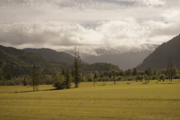 Ettaler Weidemoos, moss, wetland biotope, Oberammergau, Catholic, Ammergau, Ammergau Alps, Upper Bavaria, Garmisch-Partenkirchen, Alps, Bavaria, holiday, holiday region, active holiday, recreation, holiday, summer holiday, holiday region, Germany