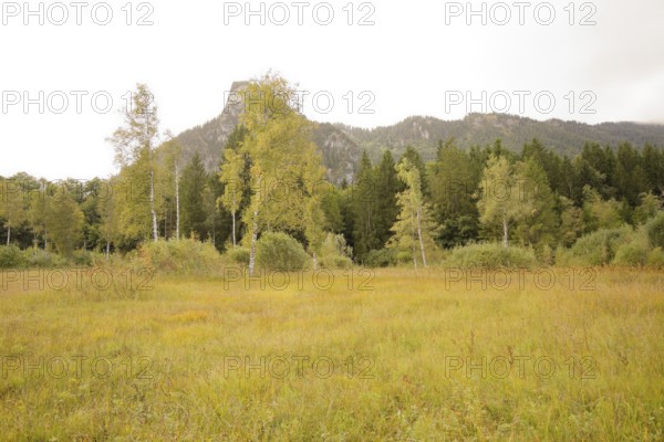 View of the Kofel, mountain, Zinken, mountain hiking, hiking, Oberammergau, Catholic, Ammergau, Ammergau Alps, Upper Bavaria, Garmisch-Partenkirchen, Alps, Bavaria, holiday, holiday region, active holiday, recreation, holiday, summer holiday, holiday region, Germany