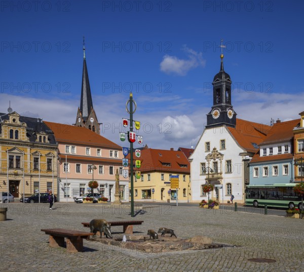 Market square with old town hall, Wilsdruff, Saxony, Germany