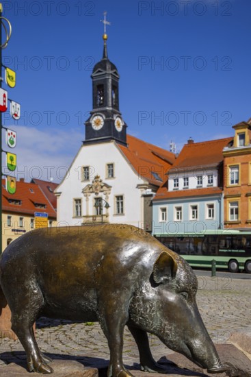 Market square with old town hall and Wildsaubrunnen, Wilsdruff, Saxony, Germany