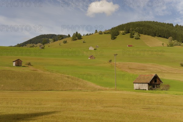 Pulvermoos between Oherammergau and Unterammergau, cultural landscape, agriculture, Alps, mountains, Ammergau, Ammergau Alps, Bavaria, Upper Bavaria, Germany
