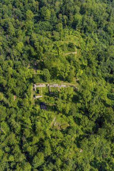 Aerial view, Rüdenburg castle ruins in the forest area, Arnsberg, Sauerland, North Rhine-Westphalia, Germany, Alte Grafenburg, castle, castle complex, castle ruins, DE, Europe, Hochsauerlandkreis, Höhenburg, aerial photograph, aerial photography, aerial photography, sight, overview, bird's-eye view, forest, forest area, birds-eyes view, overview