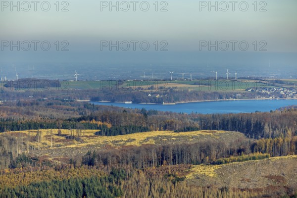 Aerial view, forest area with forest damage and view to the Möhnesee - Hevesee in the district Hüsten in Arnsberg, Sauerland, North Rhine-Westphalia, Germany, Arnsberg, tree mortality, bark beetle damage, bark beetle plague, DE, Europe, spruce mortality, clear-cutting, Wollbergsiepen and Kuhpfadsiepen landscape conservation area, aerial view, aerial photography, aerial photography, overview, bird's-eye view, forest, forest damage, forest damage, forest dieback, Wollbergsiepen and Kuhpfadsiepen landscape conservation area, birds-eyes view, overview