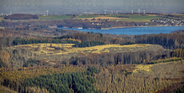 Aerial view, forest area with forest damage and view to the Möhnesee - Hevesee in the district Hüsten in Arnsberg, Sauerland, North Rhine-Westphalia, Germany, Arnsberg, tree mortality, bark beetle damage, bark beetle plague, DE, Europe, spruce mortality, clear-cutting, Wollbergsiepen and Kuhpfadsiepen landscape conservation area, aerial view, aerial photography, aerial photography, overview, bird's-eye view, forest, forest damage, forest damage, forest dieback, Wollbergsiepen and Kuhpfadsiepen landscape conservation area, birds-eyes view, overview