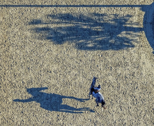 Aerial view, riding training at the riding centre Zucht-Reit und Fahrverein e.V. in the district Voßwinkel in Arnsberg, Sauerland, North Rhine-Westphalia, Germany, Arnsberg, DE, Europe, aerial view, aerial photography, aerial photography, horses, equestrian sports, riding centre, equestrian sports centre, overview, bird's-eye view, overview