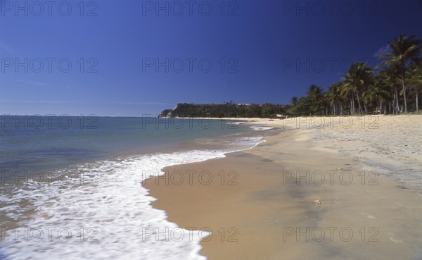 Beach, sea, palm trees, Caraíva, Bahia - Brazil